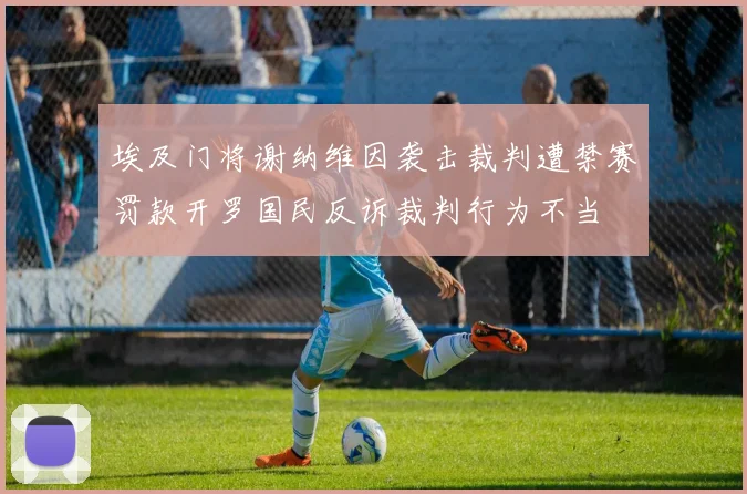 埃及门将谢纳维因袭击裁判遭禁赛罚款开罗国民反诉裁判行为不当